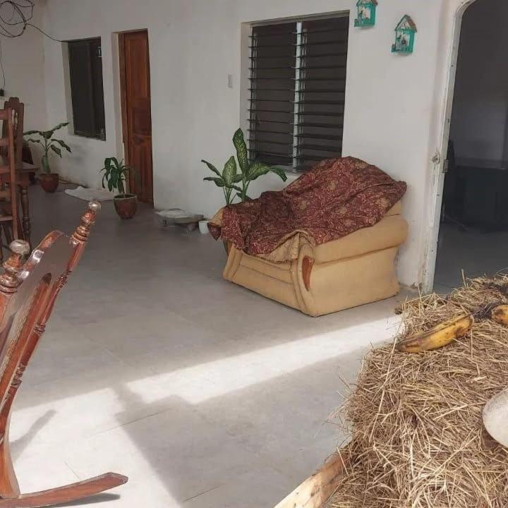 Hostal Brisas Del Ometepe Rivas Kültér fotó